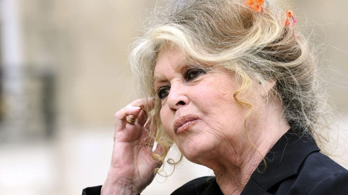 Muere Brigitte Bardot, figura que marcó una época