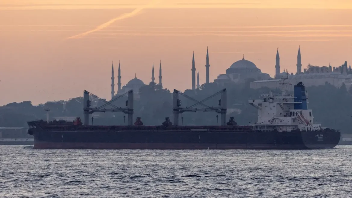 Otro Buque propiedad turca pasa por el estrecho de Ormuz