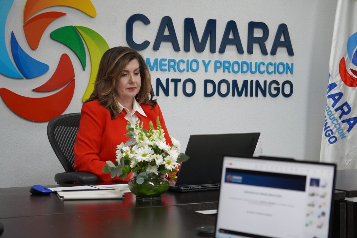 Cámara Santo Domingo reporta 8,721 nuevas empresas y acelera digitalización de servicios