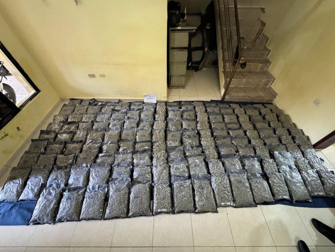 Efectivos del Ejército de República Dominicana (ERD) y agentes de la Dirección Nacional de Control de Drogas (DNCD), bajo la coordinación del Ministerio Público y dentro del reforzamiento de las operaciones conjuntas, incautaron un alijo de 151 paquetes de presunta marihuana sintética, durante labores de inteligencia e interdicción en la provincia de Azua.