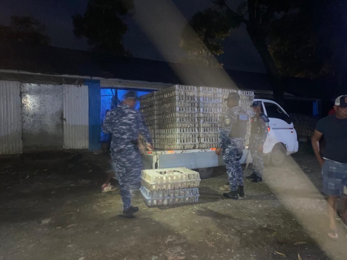 Policía recupera más de 600 pollos robados y detiene a cinco personas en La Vega