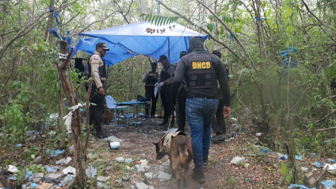 DNCD saca de circulación más de 900 mil gramos de drogas en junio