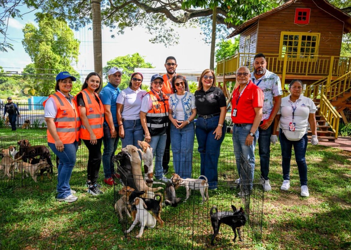 Alcaldía de Santiago celebra sexta Feria de Adopción Canina