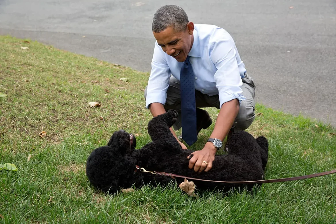 Muere Sunny, una de las mascotas de la familia Obama en la Casa Blanca